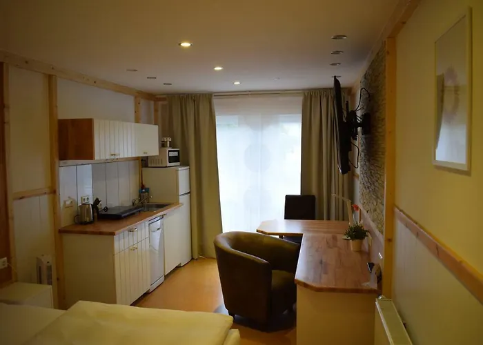 Апарт-отель Apartmenthaus Erlenbach Erlenbach (Heilbronn)