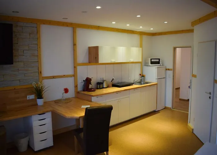 Апарт-отель Apartmenthaus Erlenbach Erlenbach (Heilbronn)